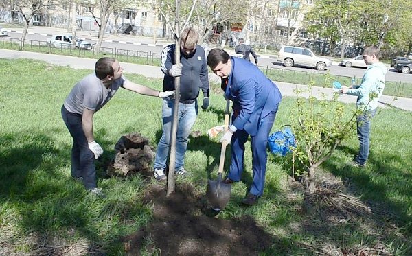 О.А. Лебедев в Туле вместе с жителями посадил деревья на месте будущего сквера