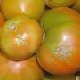 В Крым не проехали томаты, зараженные молью