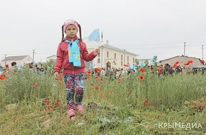 Власти не разрешили активистам отметить в Столице Крыма День крымскотатарского флага