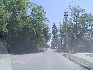 В Керчи ветер свалил дерево на дорогу