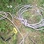 В Ялте сотрудники вневедомственной охраны на «горячем» задержали похитителя кабеля