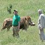 Премьер поручил прекратить проверки в зоопарке «Сказка» в Ялте