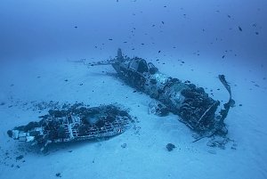 Для создания искусственных рифов возле берегов Ялты предложили затопить баржи и вертолеты