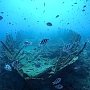Учёный предложил не спешить с подъемом со дна найденного у Балаклавы византийского корабля