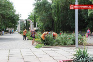 В Керчи парки заросли травой — за покос коммунальщикам не платят