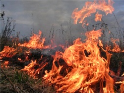 МЧС предупреждает об опасности пожаров на открытой территории!