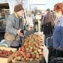 Крыму предложили продвигать собственный бренд яблок