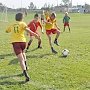 Профессиональный футбол охватил в Крыму 4,5 тыс. детей