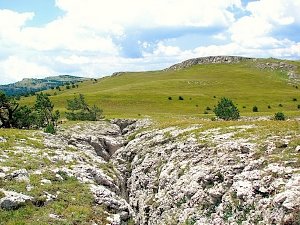 Определение границ заповедников в Крыму оказалось невозможным из-за недостатка средств