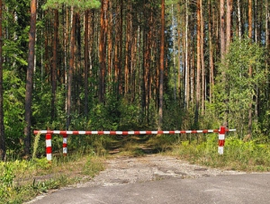 В Крыму мошенники взимают плату за вход в лес