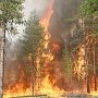 Олег Лебедев внёс в Госдуму законопроект, повышающий в два раза штрафы за нарушение пожарной безопасности в лесах