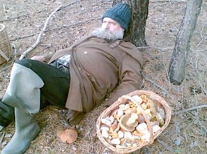 За несколько дней в Крыму потерялись четыре грибника