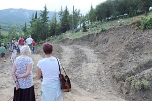 Жители Гурзуфа заблокировали возведение «фито-центра», начавшееся с вырубки ценных деревьев