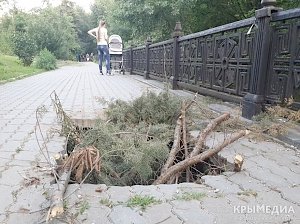 В центре Симферополя провалилась часть набережной