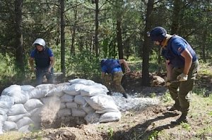 Три немецкие авиабомбы обезвредили специалисты МЧС России