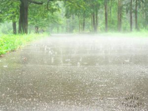 В Крыму снова прогнозируют дождь