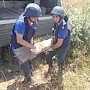 Центр «Лидер» осуществляет работы по уничтожению взрывоопасных предметов в Крыму