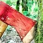 Прокуратура выявила незаконную вырубку леса под Судаком