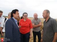 Крымские сельхозпроизводители могут рассчитывать на поддержку правительства – Евгения Бавыкина