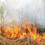 В Севастополе объявлен повышенный класс пожарной опасности