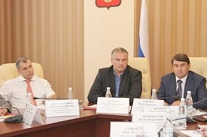 В.Константинов принял участие в совещании по подготовке заседания президиума Государственного совета РФ по вопросу развития туризма в Российской Федерации