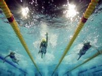 Крымчанка Ани Палян завоевала 5 медалей на чемпионате мира по плаванию