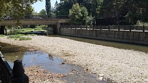 Очистка русла Салгира в Симферополе обернулась массовой вырубкой деревьев