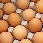 В Крым не пустили партию опасных куриных яиц из Украины