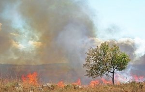 Пожароопасный промежуток времени продолжается