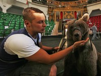 Медвежонок, подаренный Сергею Аксёнову Рамзаном Кадыровым, стал всеобщим любимцем