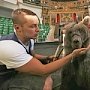 Медвежонок, подаренный Сергею Аксёнову Рамзаном Кадыровым, стал всеобщим любимцем