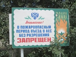 В Крыму проводят мониторинг лесопожарной обстановки