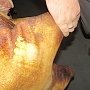 17 тонн украинской свинины не пустили в Крым
