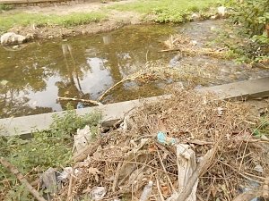 Минэкологии Крыма проконтролирует уборку мусора на симферопольской набережной