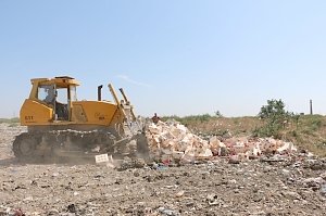 В Керчи уничтожена партия фруктов, следовавших из Литвы