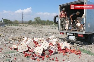 В Керчи уничтожили партию литовских нектаринов