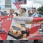 В Санкт-Петербурге прошёл митинг в защиту прав участников садоводческих товариществ
