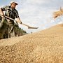 30 тыс тонн крымского зерна будет распродано до конца недели на бирже
