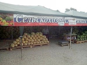 На сельскохозяйственной ярмарке изъяли 24 тонны дынь и арбузов