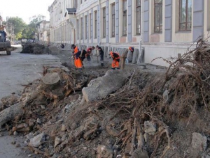 В крымской столице уничтожили сквер с вековыми деревьями