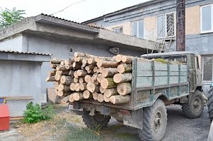 В Крыму полицейскими выявлен факт незаконной вырубки лесных насаждений