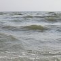 Экипаж утонувшего катера в Керченском проливе до сих пор не нашли