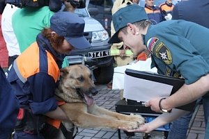 Кинологи пройдут аттестацию МЧС России