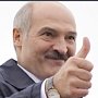 За Лукашенко на выборах президента проголосовало 83,49% избирателей