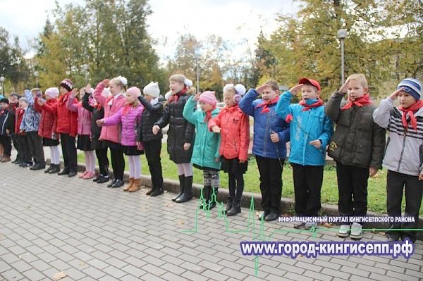 Ленинградская область. Полку кингисеппских пионеров прибыло!