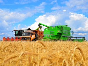 В Крыму почти треть сельхозпроизводителей работают в убыток
