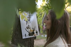 Известный фотограф устроил в парке Симферополя выставку: снимки прикололи вилками к деревьям