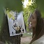 Известный фотограф устроил в парке Симферополя выставку: снимки прикололи вилками к деревьям