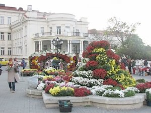 Приближение Дня Народного единства цветоводы Севастополя отметили Парадом хризантем