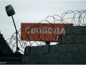 Более 200 заключённых по амнистии освободили из тюрем полуострова
